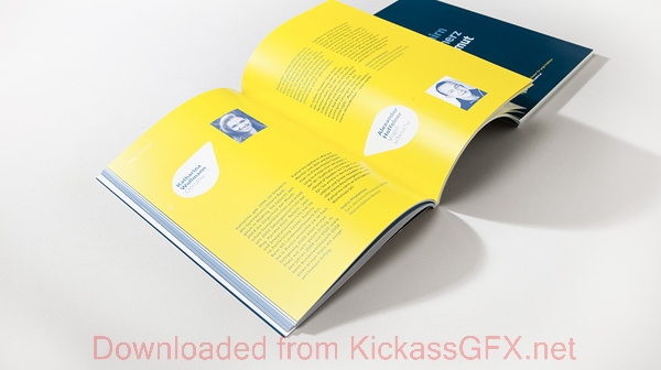 商业流程再造的轰炸手机短信软件